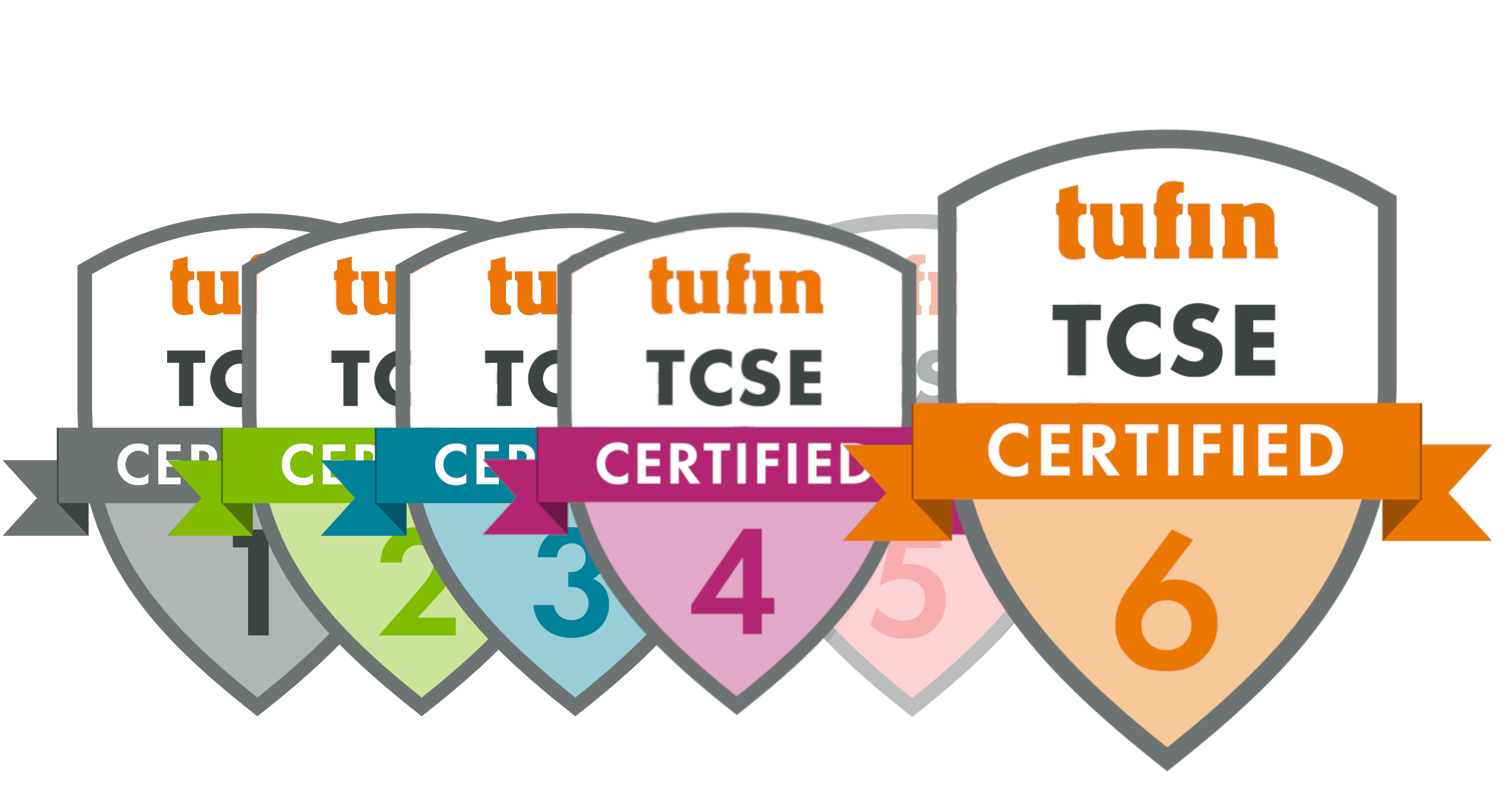 tufin_tcse 2025.03